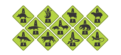 CRUCE DE ANIMALES EN LA VÍA